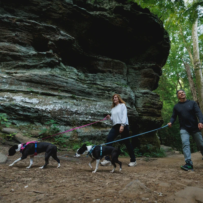 Ruffwear Hi & Light Harness – Ultraleichtes Hundegeschirr für aktive Hunde, atmungsaktiv, reflektierend & schnelltrocknend