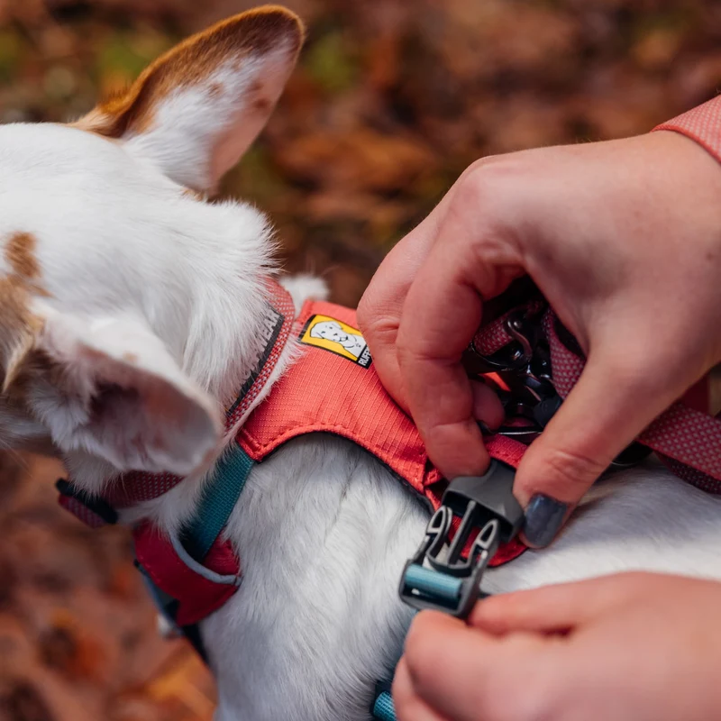 Ruffwear Hi & Light Harness – Ultraleichtes Hundegeschirr für aktive Hunde, atmungsaktiv, reflektierend & schnelltrocknend