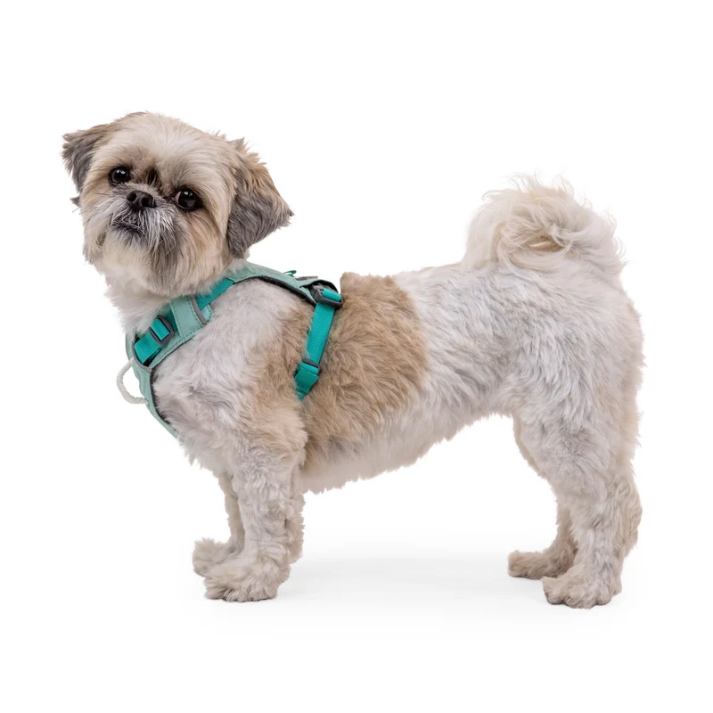 Ruffwear Hi & Light Harness – Ultraleichtes Hundegeschirr für aktive Hunde, atmungsaktiv, reflektierend & schnelltrocknend