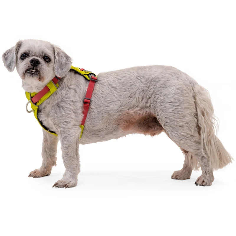 Ruffwear Hi & Light Harness – Ultraleichtes Hundegeschirr für aktive Hunde, atmungsaktiv, reflektierend & schnelltrocknend
