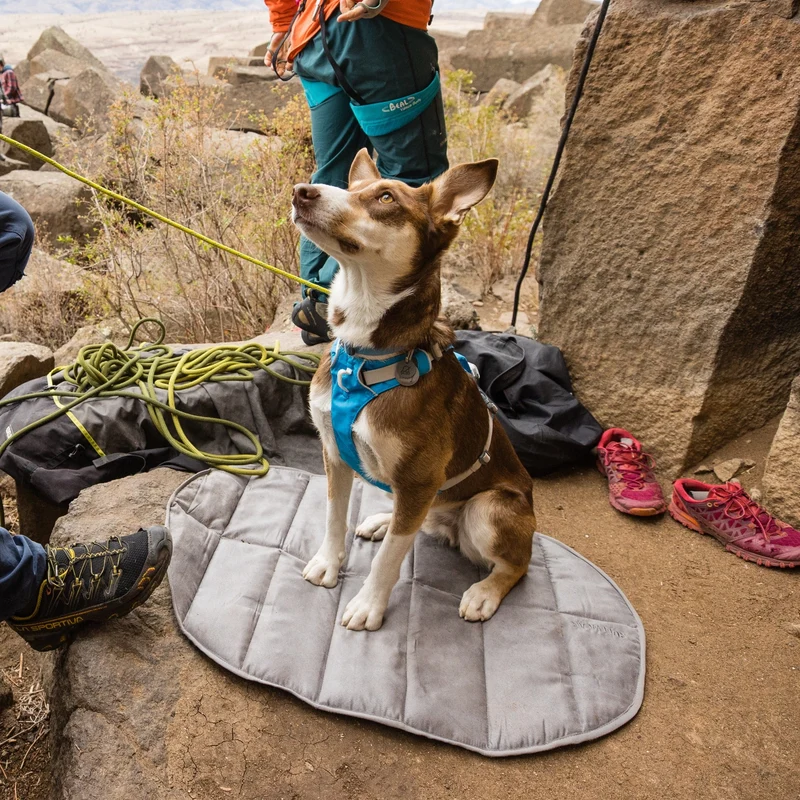 Ruffwear Highlands Pad – Ultraleichtes Outdoor-Hundebett für Auto, Camping & Abenteuer | Wasserabweisend, Maschinenwaschbar & Strapazierfähig für aktive Hunde