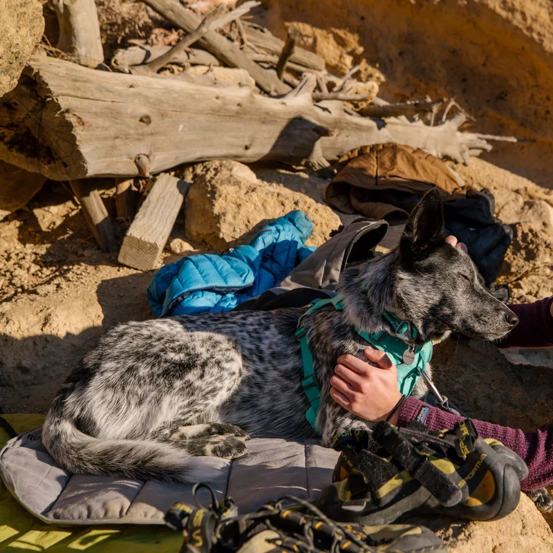 Ruffwear Highlands Pad – Ultraleichtes Outdoor-Hundebett für Auto, Camping & Abenteuer | Wasserabweisend, Maschinenwaschbar & Strapazierfähig für aktive Hunde