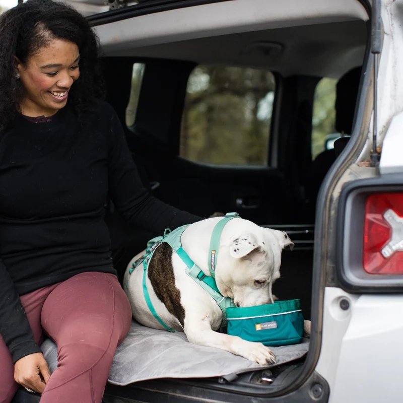 Ruffwear Highlands Pad – Ultraleichtes Outdoor-Hundebett für Auto, Camping & Abenteuer | Wasserabweisend, Maschinenwaschbar & Strapazierfähig für aktive Hunde