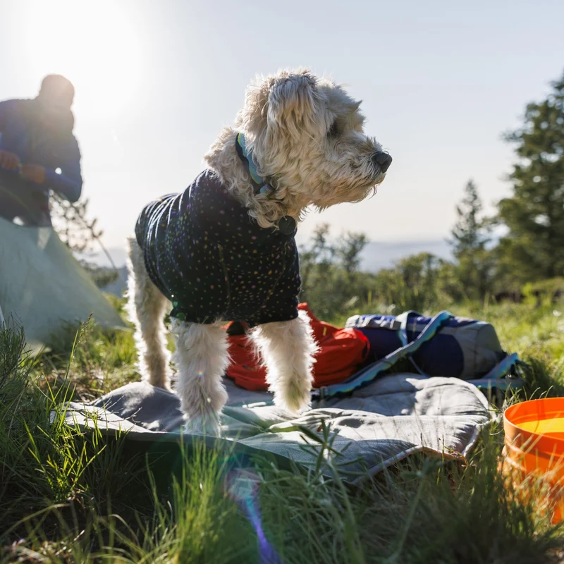 Ruffwear Highlands Pad – Ultraleichtes Outdoor-Hundebett für Auto, Camping & Abenteuer | Wasserabweisend, Maschinenwaschbar & Strapazierfähig für aktive Hunde