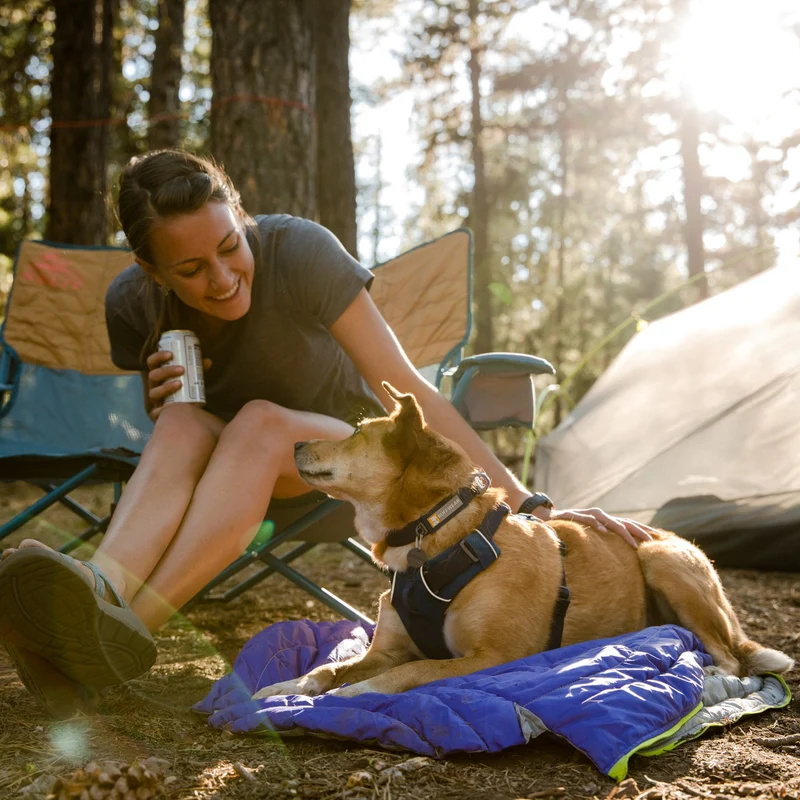 Ruffwear Highlands Sleeping Bag – Isolierter Hundeschlafsack für warme, trockene Nächte beim Camping & Trekking
