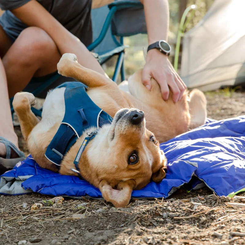 Ruffwear Highlands Sleeping Bag – Isolierter Hundeschlafsack für warme, trockene Nächte beim Camping & Trekking