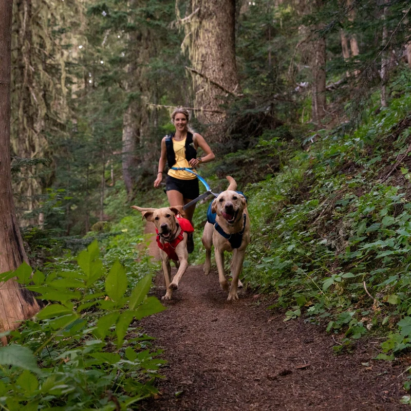 Ruffwear Double Track Coupler – Premium Hundekoppel für entspannte Spaziergänge mit 2 Hunden gleichzeitig | Verhedderte Leinen adé