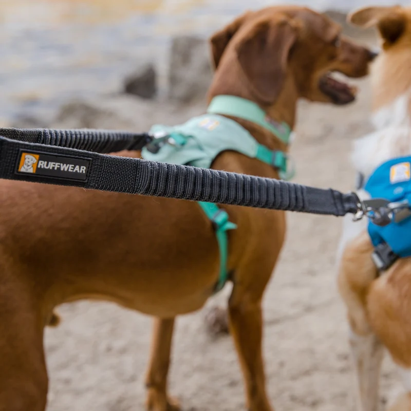 Ruffwear Double Track Coupler – Premium Hundekoppel für entspannte Spaziergänge mit 2 Hunden gleichzeitig | Verhedderte Leinen adé