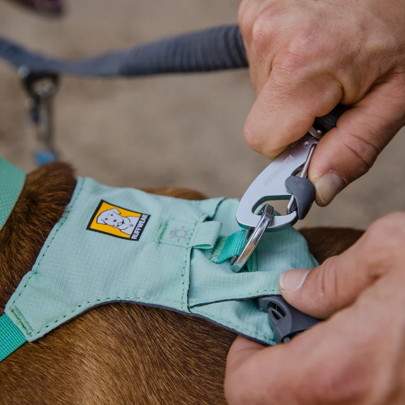 Ruffwear Double Track Coupler – Premium Hundekoppel für entspannte Spaziergänge mit 2 Hunden gleichzeitig | Verhedderte Leinen adé