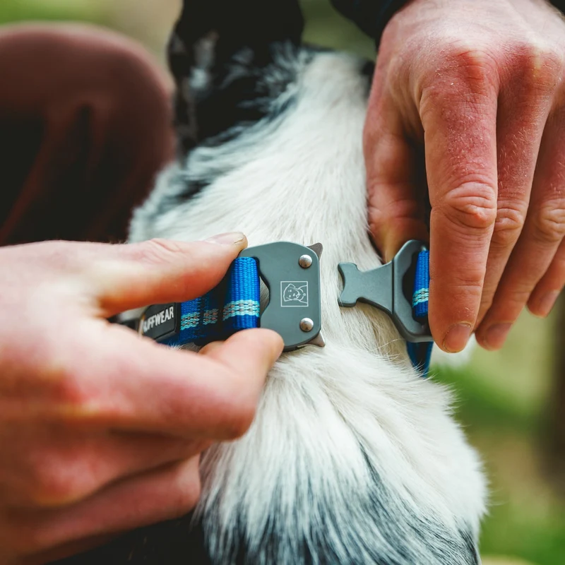 Ruffwear Top Rope Collar – Reflektierendes Premium-Hundehalsband mit robustem Aluminium-Verschluss für aktive Hunde