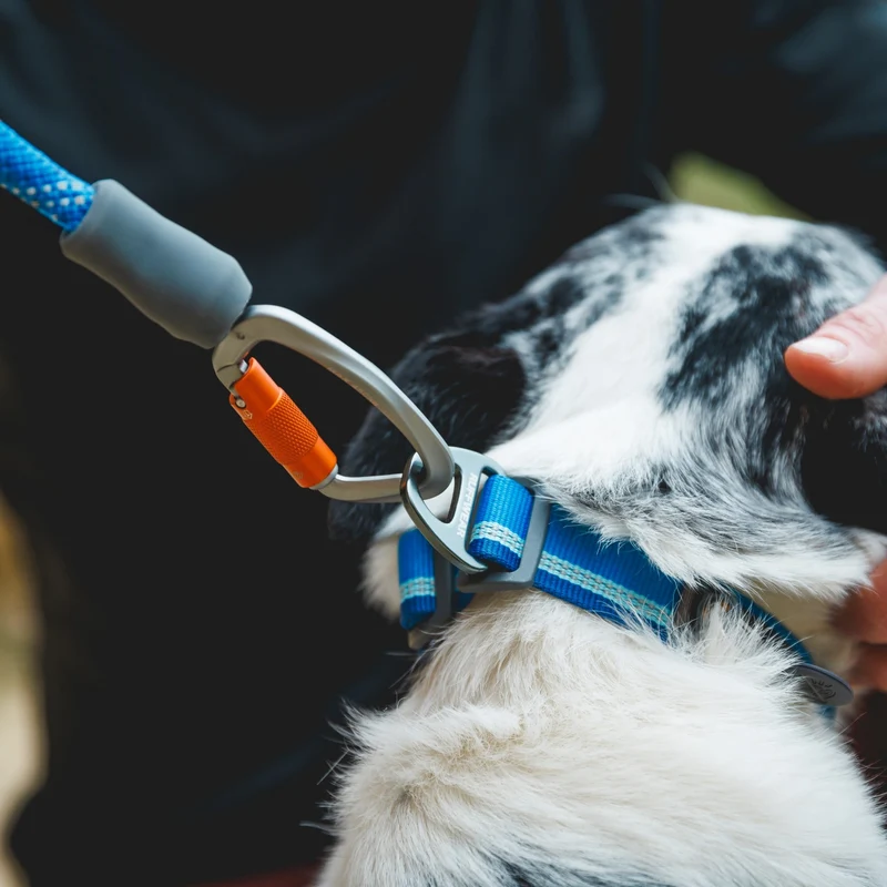Ruffwear Top Rope Collar – Reflektierendes Premium-Hundehalsband mit robustem Aluminium-Verschluss für aktive Hunde