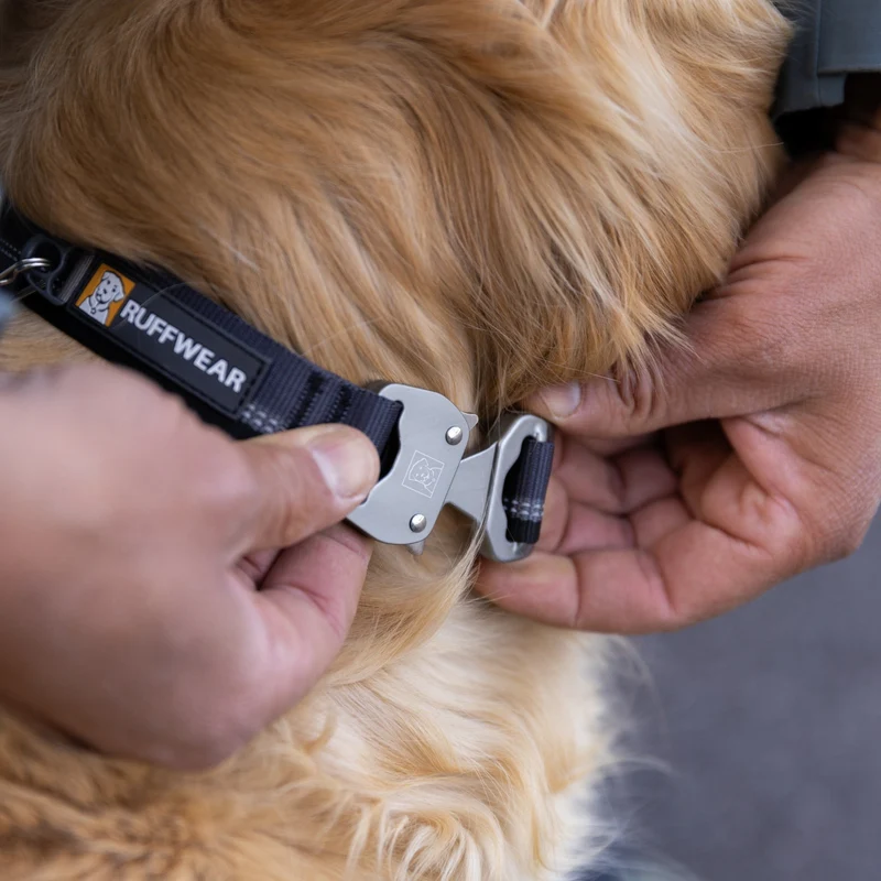 Ruffwear Top Rope Collar – Reflektierendes Premium-Hundehalsband mit robustem Aluminium-Verschluss für aktive Hunde