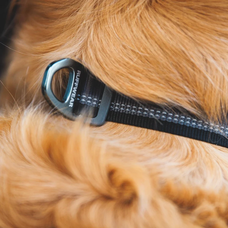 Ruffwear Top Rope Collar – Reflektierendes Premium-Hundehalsband mit robustem Aluminium-Verschluss für aktive Hunde