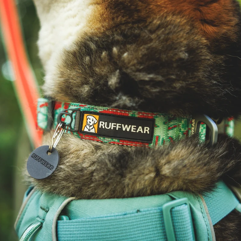 Ruffwear Crag Collar – Robustes Outdoor-Hundehalsband für Wandern, Klettern & Abenteuer | Wetterfest & Strapazierfähig