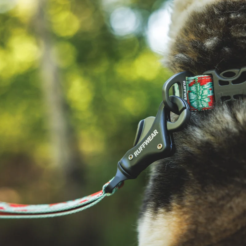 Ruffwear Crag Collar – Robustes Outdoor-Hundehalsband für Wandern, Klettern & Abenteuer | Wetterfest & Strapazierfähig