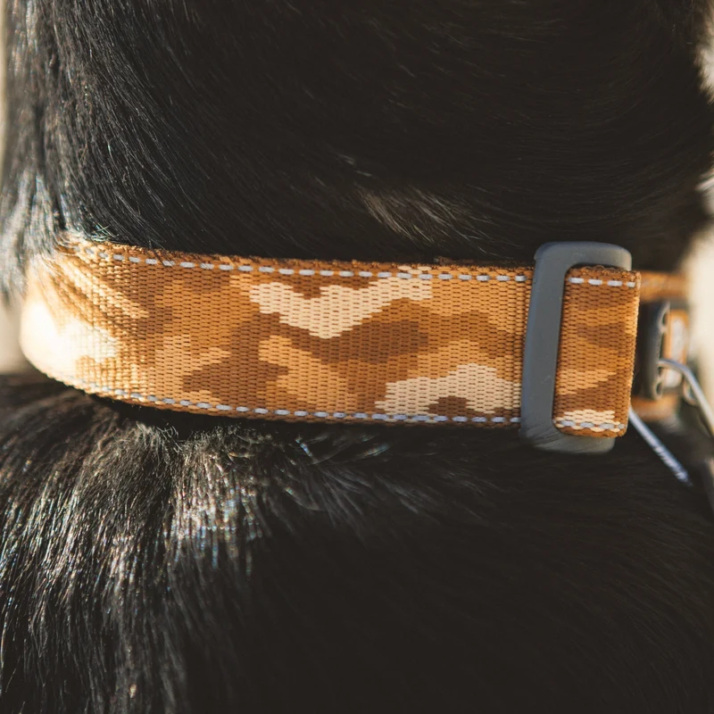Ruffwear Crag Collar – Robustes Outdoor-Hundehalsband für Wandern, Klettern & Abenteuer | Wetterfest & Strapazierfähig