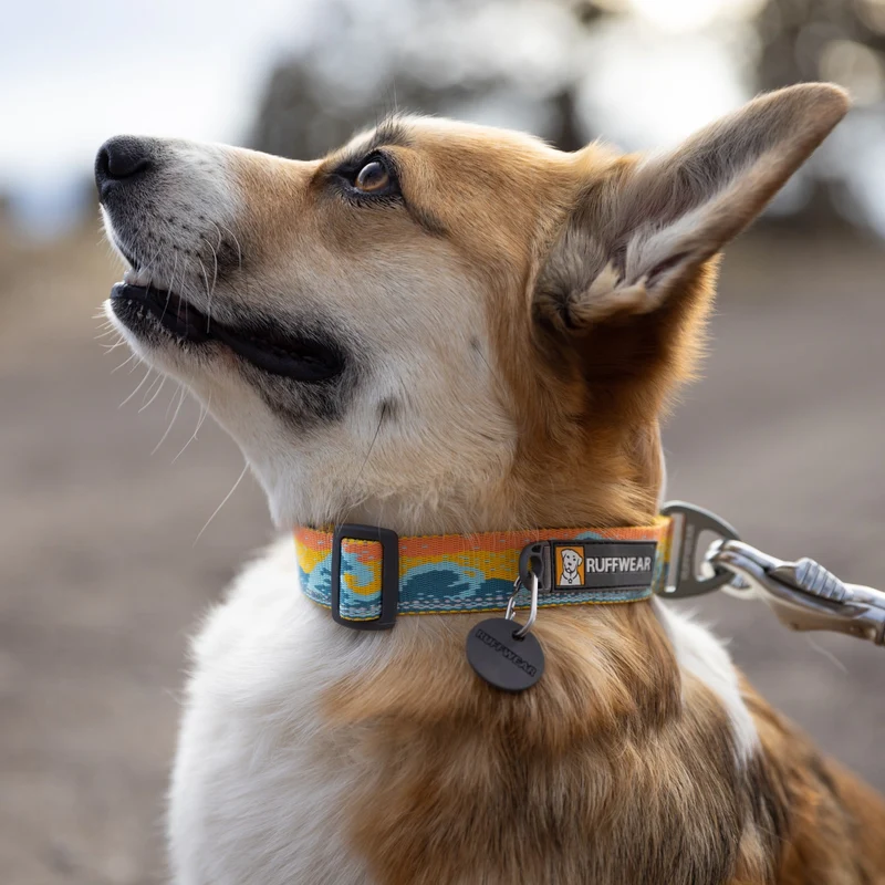 Ruffwear Crag Collar – Robustes Outdoor-Hundehalsband für Wandern, Klettern & Abenteuer | Wetterfest & Strapazierfähig