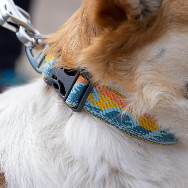 Ruffwear Crag Collar – Robustes Outdoor-Hundehalsband für Wandern, Klettern & Abenteuer | Wetterfest & Strapazierfähig