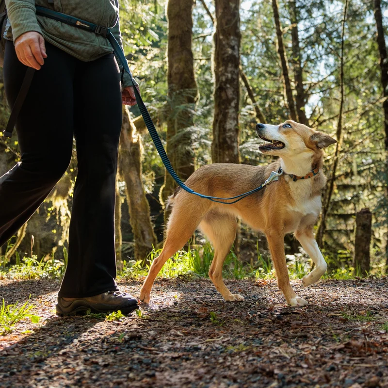 Ruffwear Crag Collar – Robustes Outdoor-Hundehalsband für Wandern, Klettern & Abenteuer | Wetterfest & Strapazierfähig