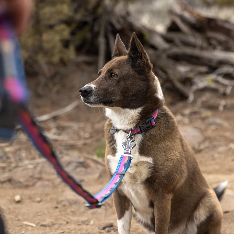 Ruffwear Crag Collar – Robustes Outdoor-Hundehalsband für Wandern, Klettern & Abenteuer | Wetterfest & Strapazierfähig