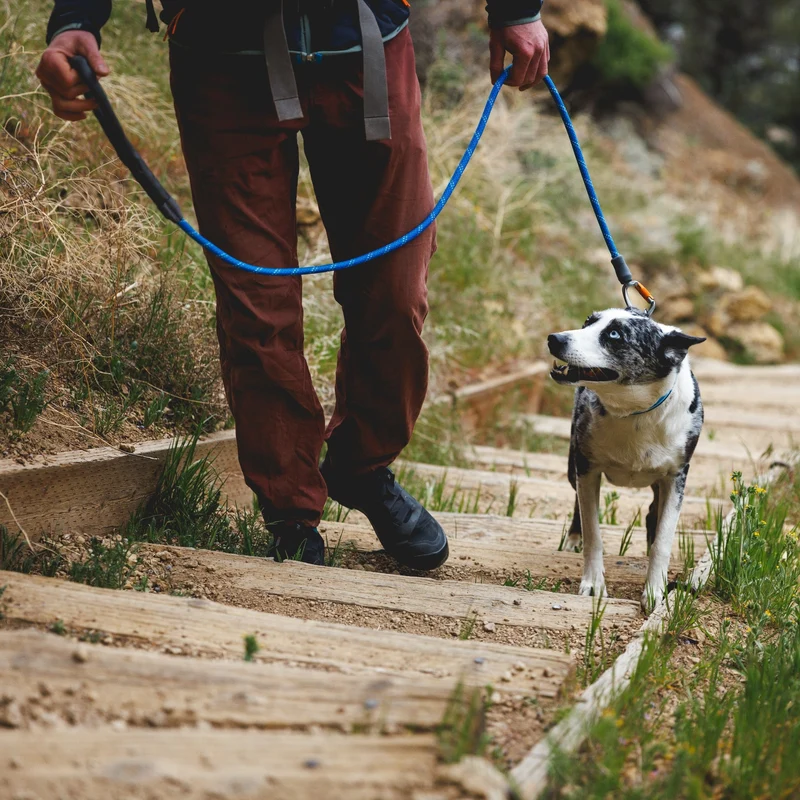Ruffwear Knot-a-Leash – Reflektierende Hundeleine aus Kletterseil mit Sicherheitskarabiner für aktive Hunde & Outdoor-Abenteuer