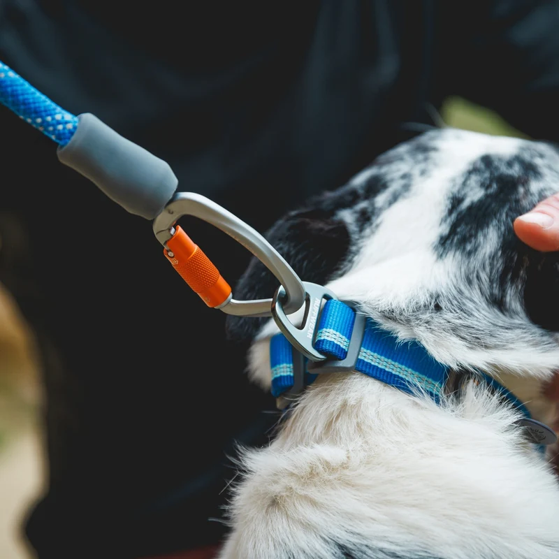Ruffwear Knot-a-Leash – Reflektierende Hundeleine aus Kletterseil mit Sicherheitskarabiner für aktive Hunde & Outdoor-Abenteuer