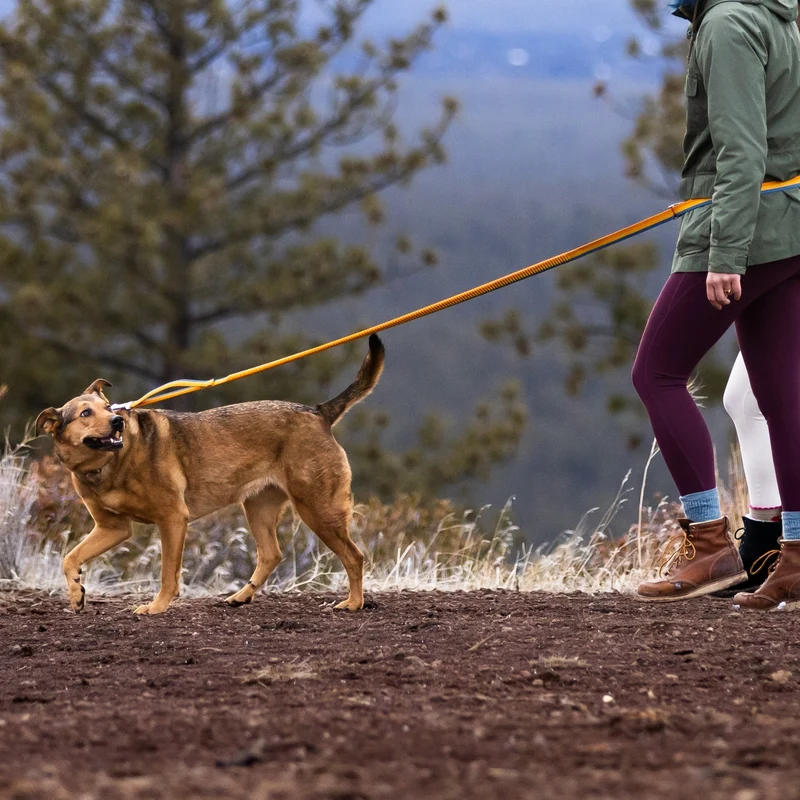 Ruffwear Roamer Leash – Premium Joggingleine mit Hüftgurt für freihändiges Laufen, verstellbare Länge, reflektierende Elemente & Tasche für aktive Hunde