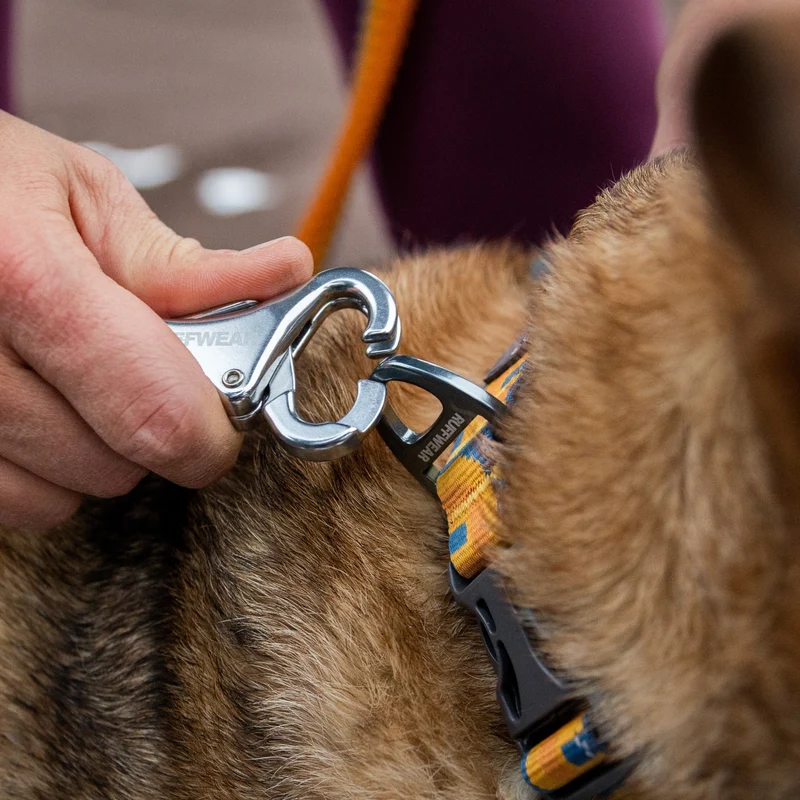 Ruffwear Roamer Leash – Premium Joggingleine mit Hüftgurt für freihändiges Laufen, verstellbare Länge, reflektierende Elemente & Tasche für aktive Hunde