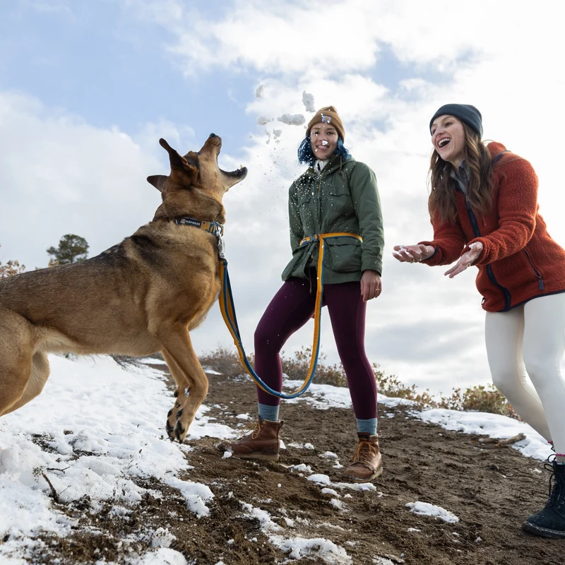 Ruffwear Roamer Leash – Premium Joggingleine mit Hüftgurt für freihändiges Laufen, verstellbare Länge, reflektierende Elemente & Tasche für aktive Hunde