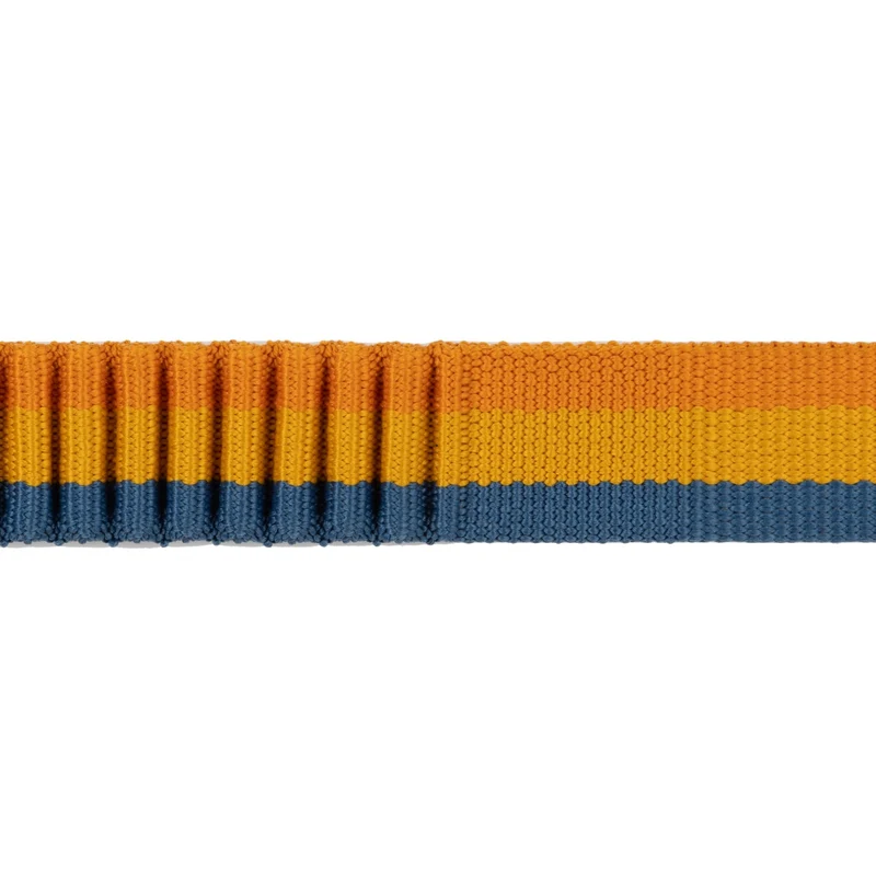 Ruffwear Roamer Leash – Premium Joggingleine mit Hüftgurt für freihändiges Laufen, verstellbare Länge, reflektierende Elemente & Tasche für aktive Hunde