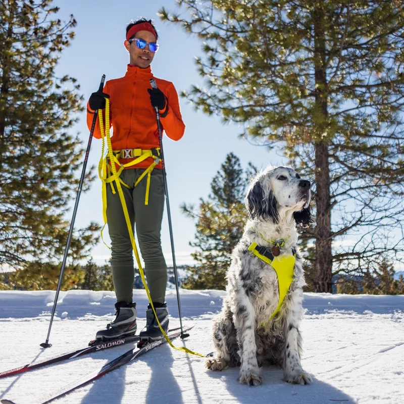 Ruffwear Omnijore Joring System – Komplettset für Canicross, Bikejöring & Skijöring mit ergonomischem Zuggeschirr und elastischer Zugleine für aktive Hunde