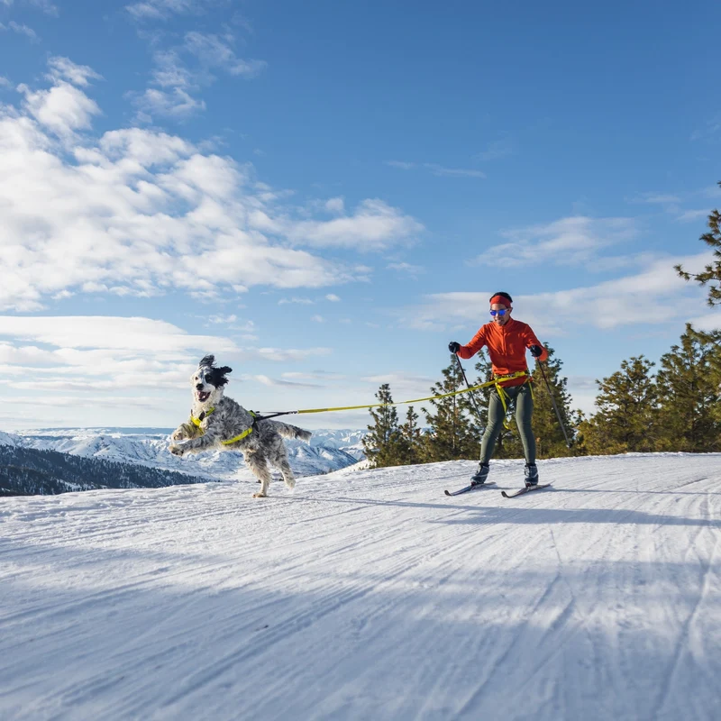 Ruffwear Omnijore Joring System – Komplettset für Canicross, Bikejöring & Skijöring mit ergonomischem Zuggeschirr und elastischer Zugleine für aktive Hunde