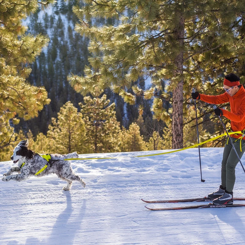 Ruffwear Omnijore Joring System – Komplettset für Canicross, Bikejöring & Skijöring mit ergonomischem Zuggeschirr und elastischer Zugleine für aktive Hunde