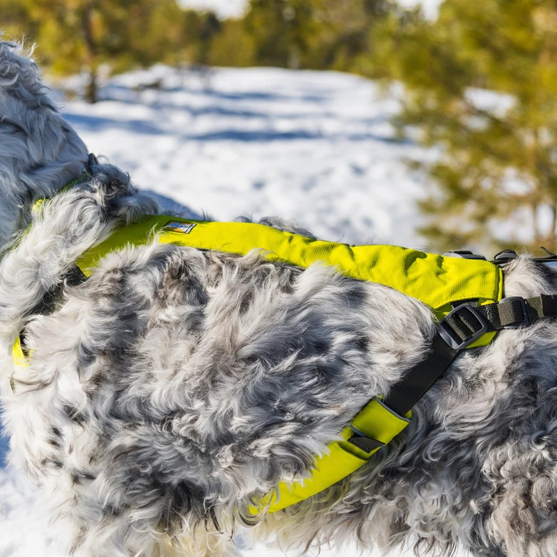 Ruffwear Omnijore Joring System – Komplettset für Canicross, Bikejöring & Skijöring mit ergonomischem Zuggeschirr und elastischer Zugleine für aktive Hunde