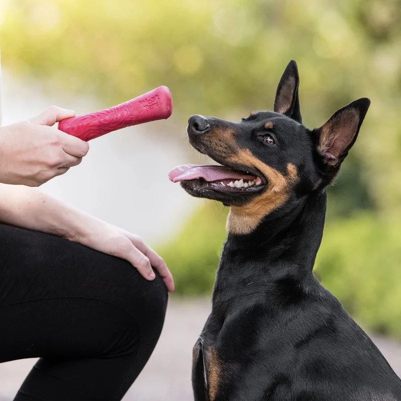 West Paw Drifty Hundespielzeug – Schwimmfähig & robust für Wasserspaß und Apportierspiele
