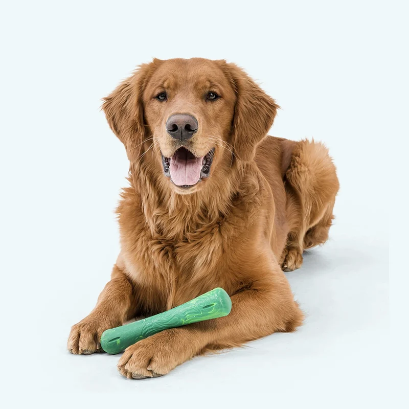 West Paw Drifty Hundespielzeug – Schwimmfähig & robust für Wasserspaß und Apportierspiele
