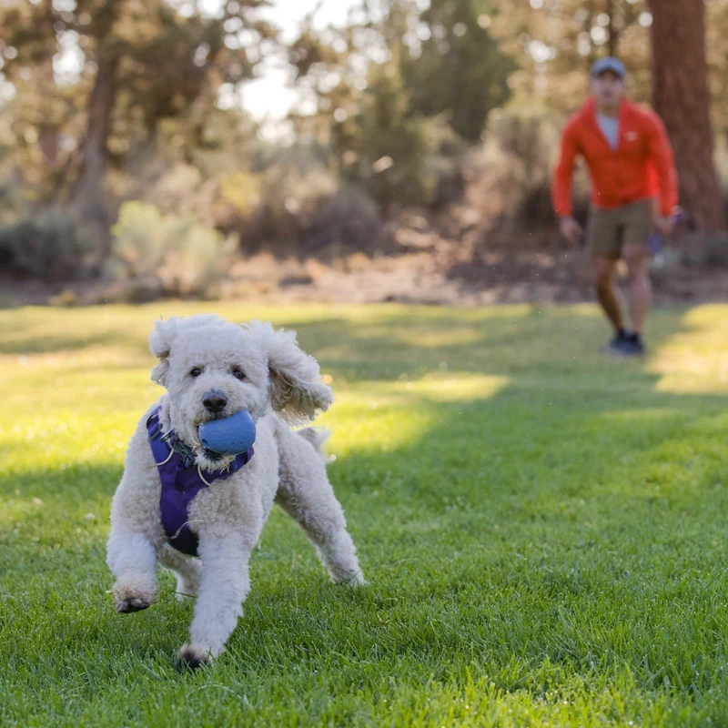 Ruffwear Huckama – Unzerstörbares Naturkautschuk-Hundespielzeug für aktive Hunde, die Herausforderung lieben
