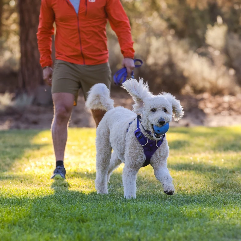 Ruffwear Huckama – Unzerstörbares Naturkautschuk-Hundespielzeug für aktive Hunde, die Herausforderung lieben