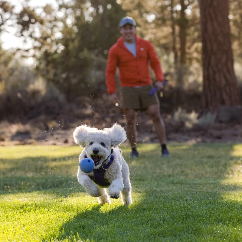 Ruffwear Huckama – Unzerstörbares Naturkautschuk-Hundespielzeug für aktive Hunde, die Herausforderung lieben