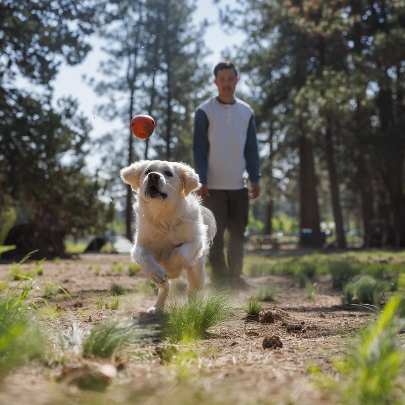 Ruffwear Huckama – Unzerstörbares Naturkautschuk-Hundespielzeug für aktive Hunde, die Herausforderung lieben