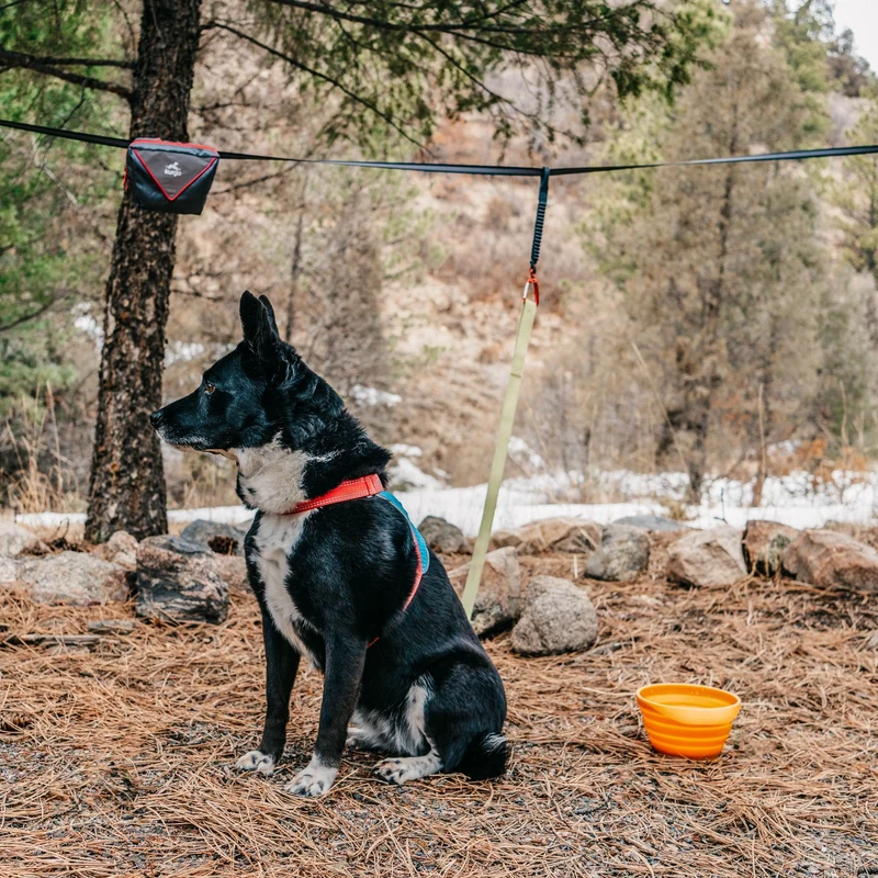 Kurgo Ridgeline Tie Out Hundeanbindesystem – Sichere Anbindeleine für maximale Bewegungsfreiheit beim Camping & Outdoor