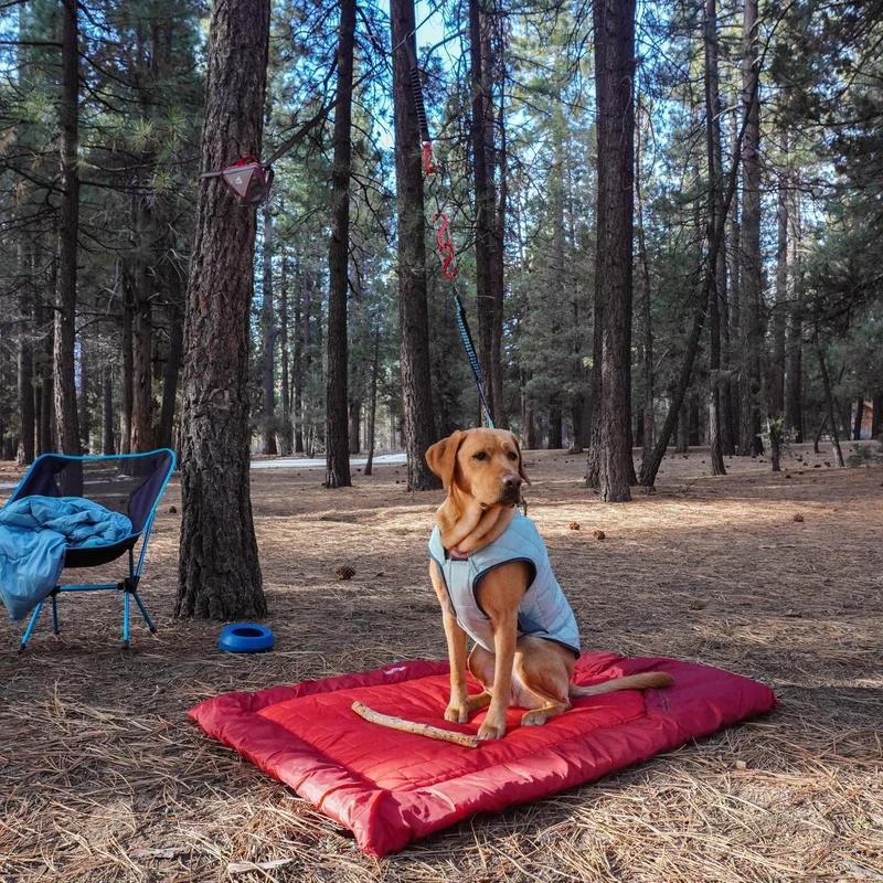 Kurgo Ridgeline Tie Out Hundeanbindesystem – Sichere Anbindeleine für maximale Bewegungsfreiheit beim Camping & Outdoor