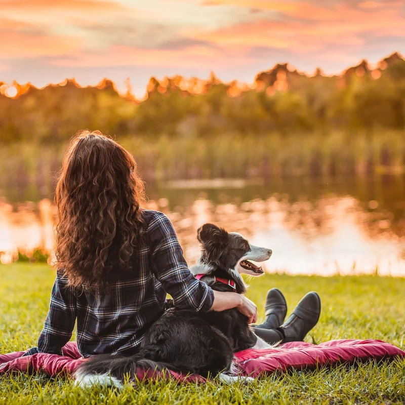 Kurgo Loft Wander Hundebett – Wasserdicht, Isoliert & Kompakt für Reisen, Camping und Outdoor-Abenteuer