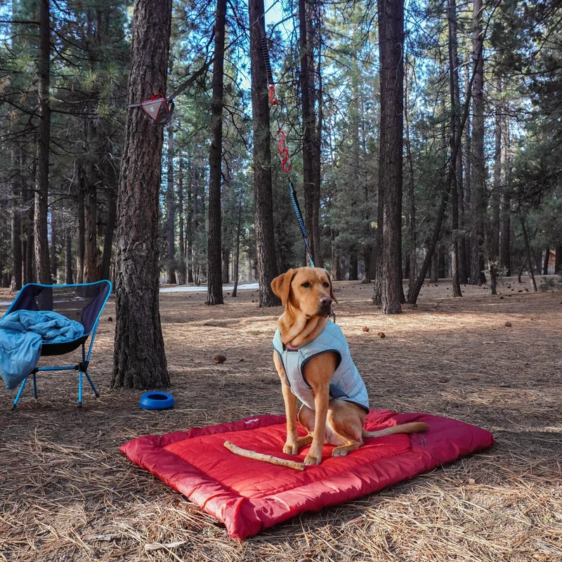 Kurgo Loft Wander Hundebett – Wasserdicht, Isoliert & Kompakt für Reisen, Camping und Outdoor-Abenteuer