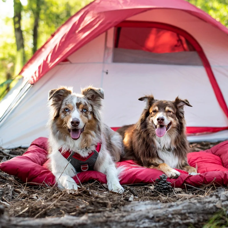 Kurgo Loft Wander Hundebett – Wasserdicht, Isoliert & Kompakt für Reisen, Camping und Outdoor-Abenteuer