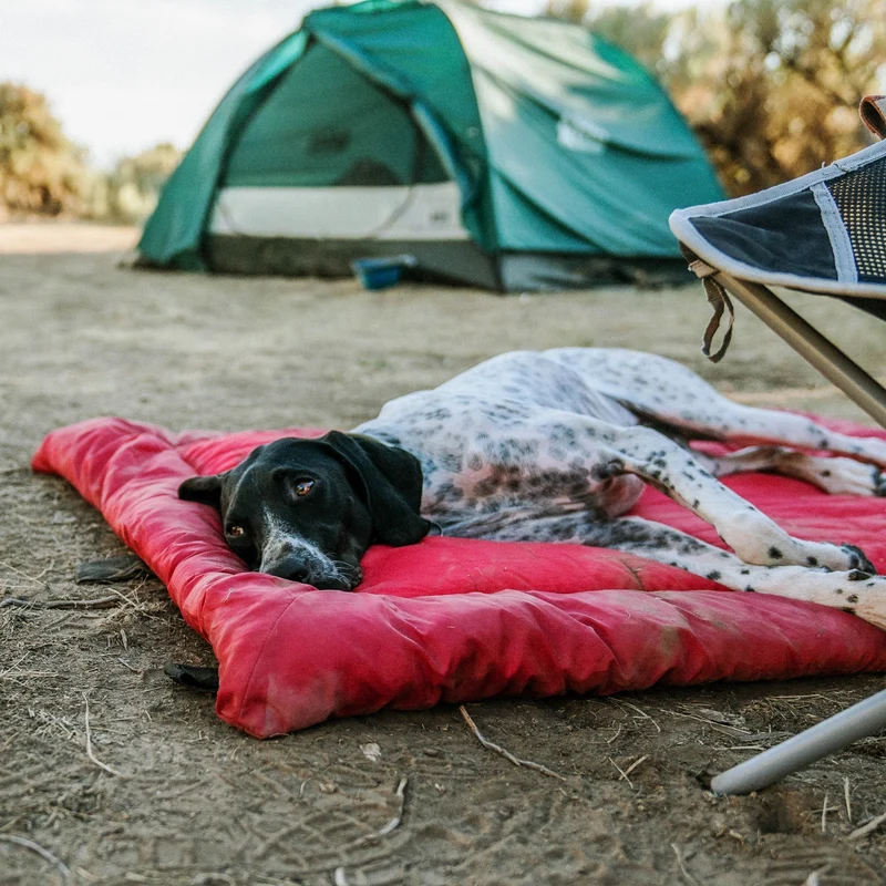 Kurgo Loft Wander Hundebett – Wasserdicht, Isoliert & Kompakt für Reisen, Camping und Outdoor-Abenteuer