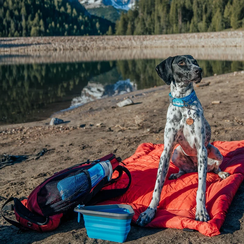 Kurgo Loft Wander Hundebett – Wasserdicht, Isoliert & Kompakt für Reisen, Camping und Outdoor-Abenteuer