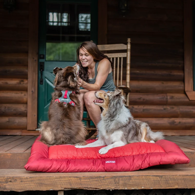 Kurgo Loft Wander Hundebett – Wasserdicht, Isoliert & Kompakt für Reisen, Camping und Outdoor-Abenteuer