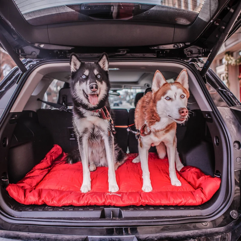 Kurgo Loft Wander Hundebett – Wasserdicht, Isoliert & Kompakt für Reisen, Camping und Outdoor-Abenteuer
