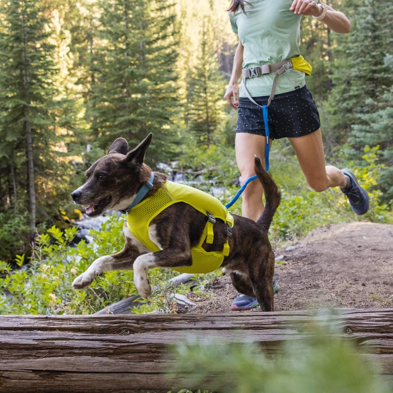 Ruffwear Trail Runner Leash – Freihändige Jogging-Hundeleine mit elastischem Bungee-Dämpfer für aktive Hunde beim Laufen, Wandern & Trail Running